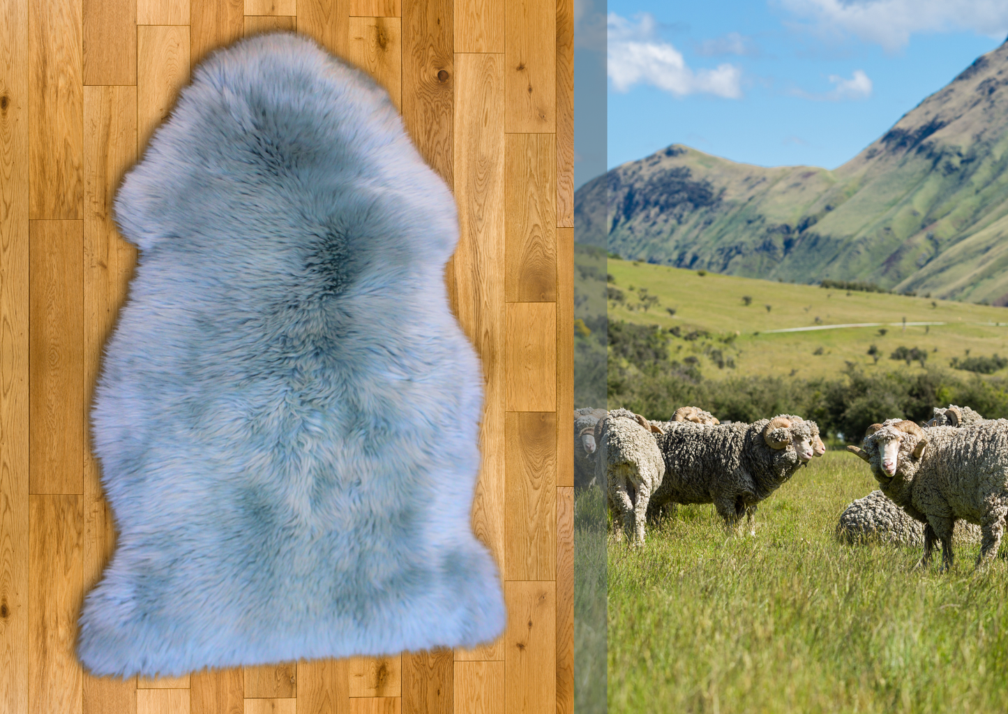 Duck Egg Merino Sheepskin L