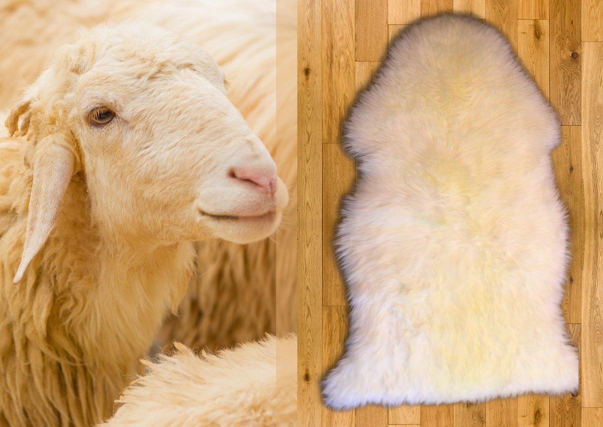 White Merino Sheepskin XL