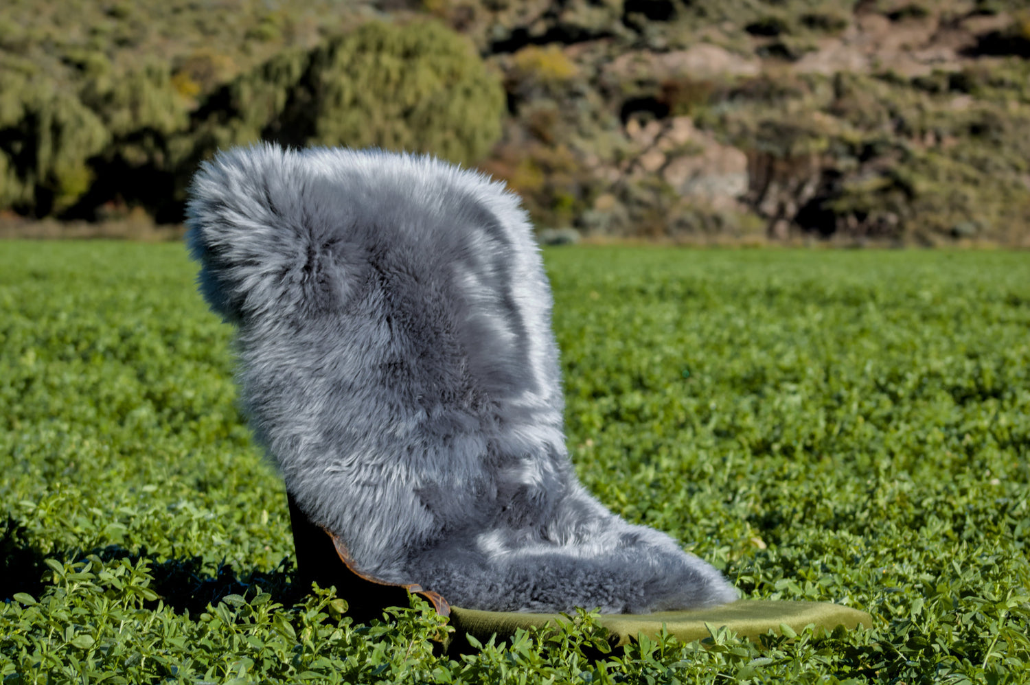Sheepskins