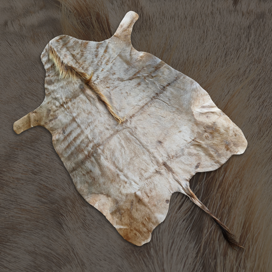 Gold Wildebeest