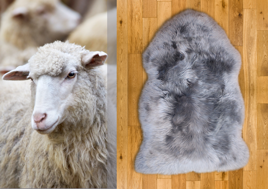 Grey Merino Sheepskin XL