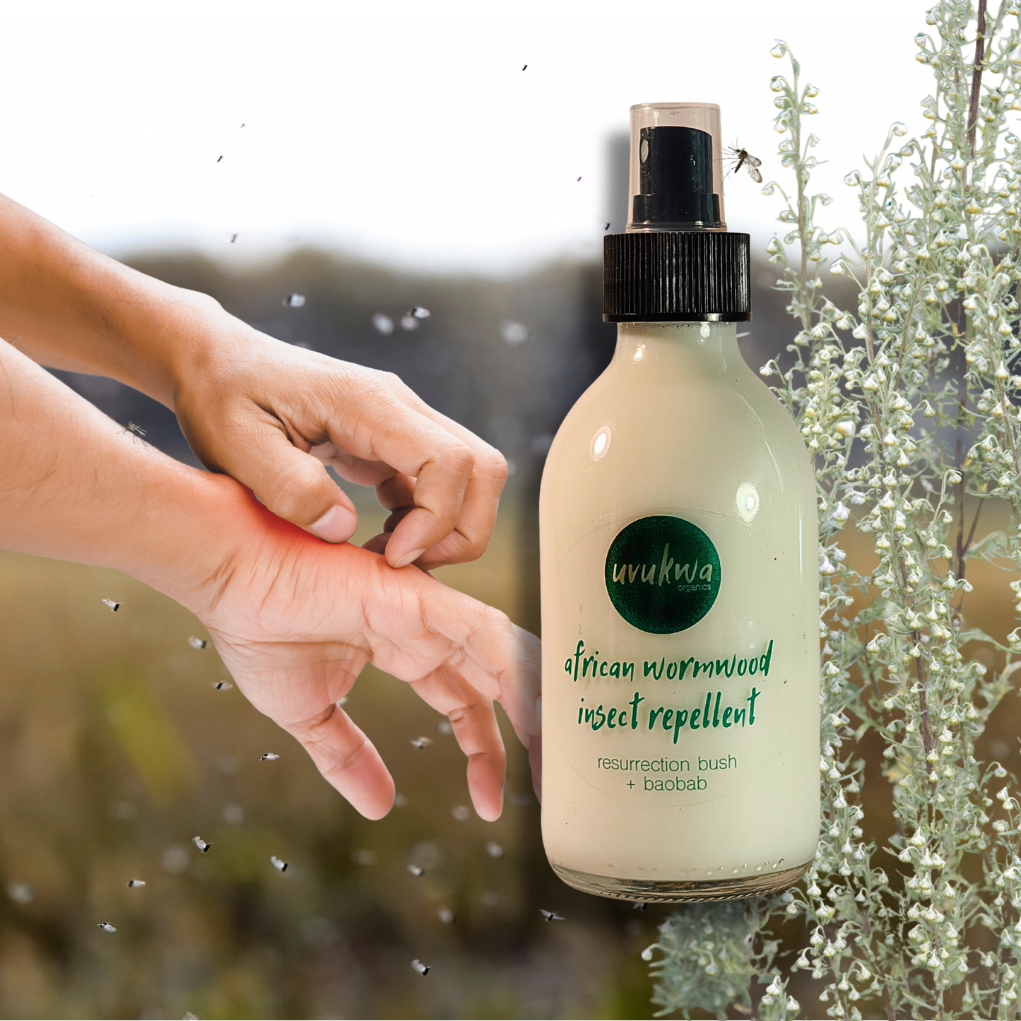 African Wormwood Insect Repellent 200ml