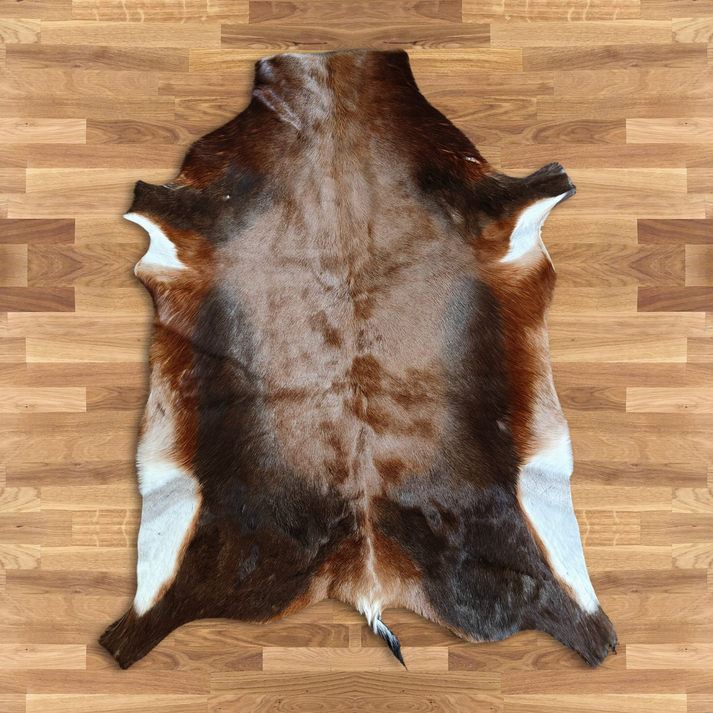 Blesbok