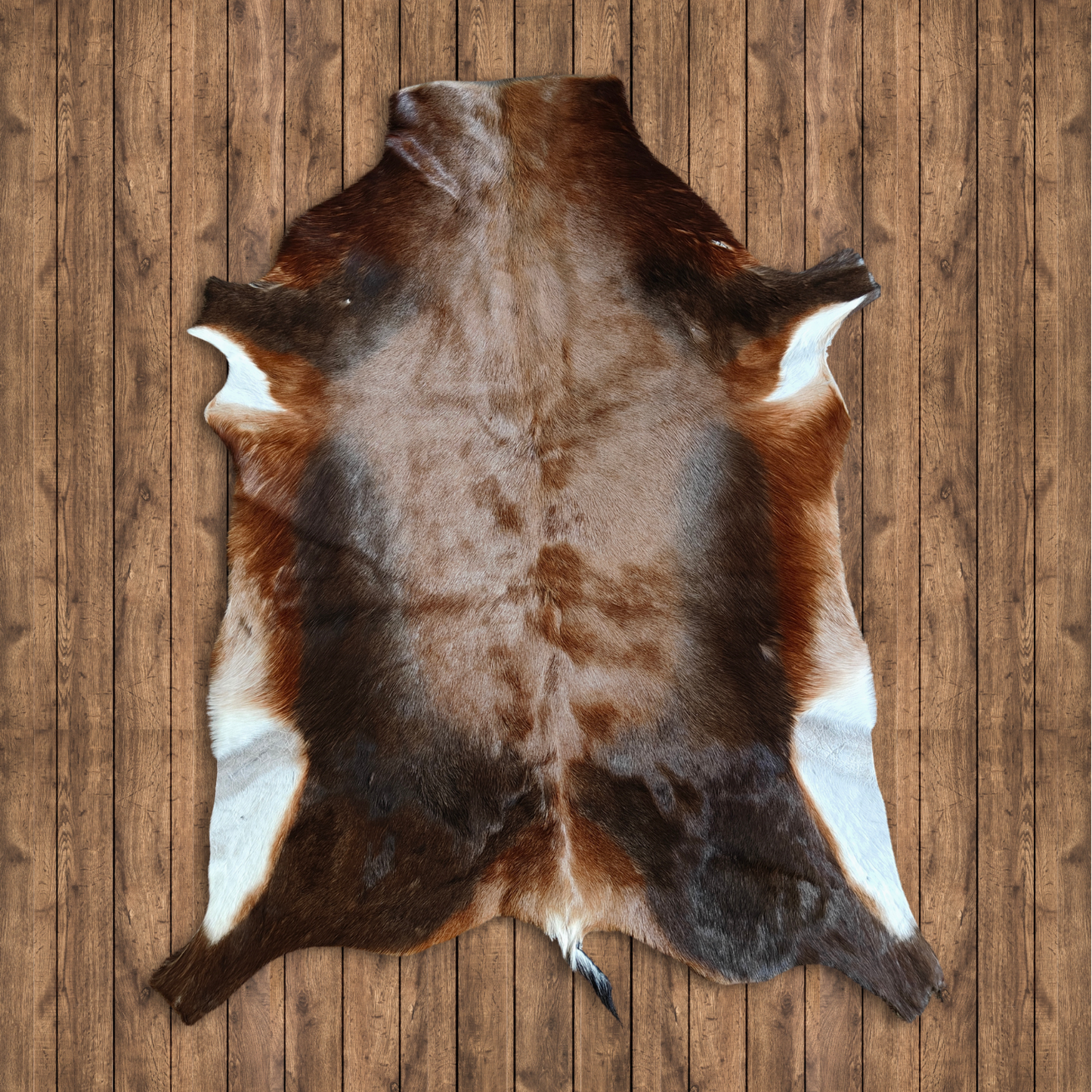Blesbok