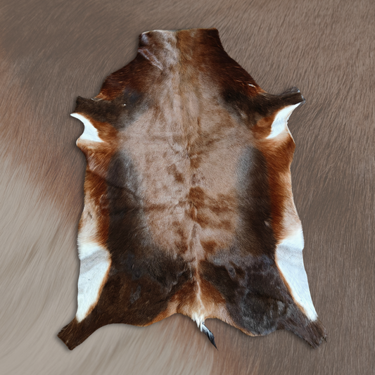 Blesbok