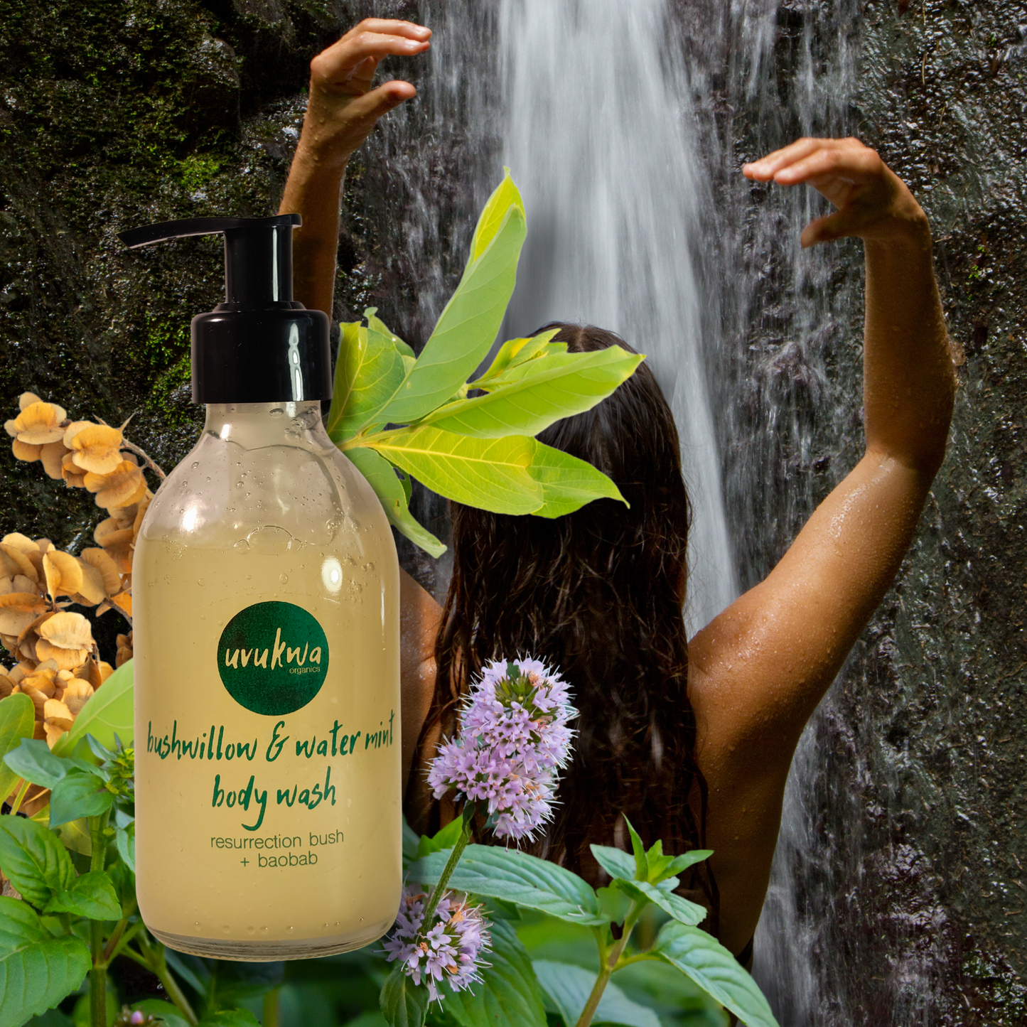 Bushwillow & Water Mint Body Wash 200ml