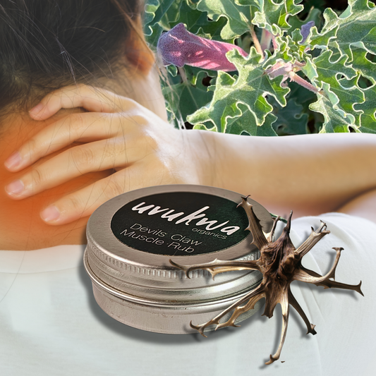 Devil's Claw Muscle Rub 30ml