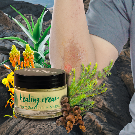 Healing Cream 50ml