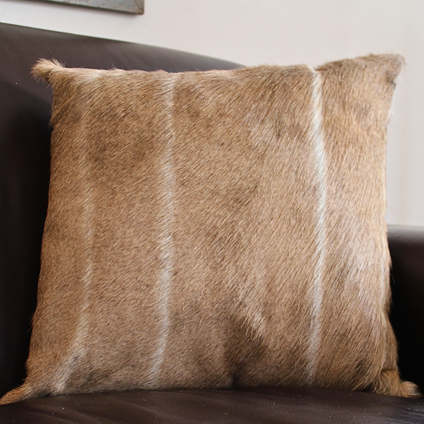 Full Face Grey Kudu Cushion
