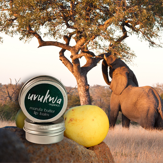 Marula Butter Lip Balm 20ml