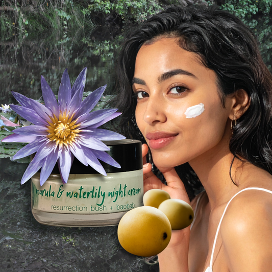 Marula & Waterlily Night Cream 50ml