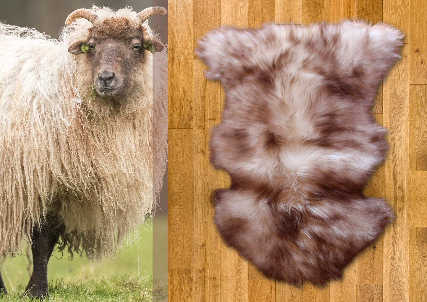 Wolf Tip Himalayan Sheepskin