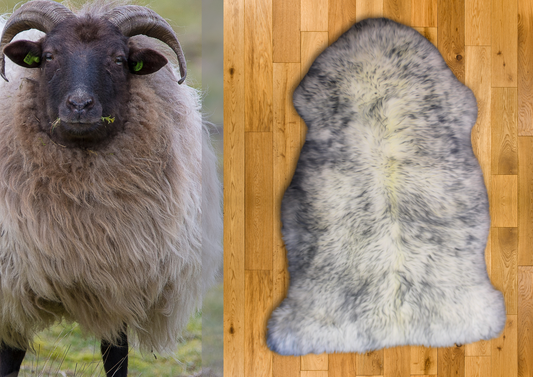 Wolf Tip Merino Sheepskin L