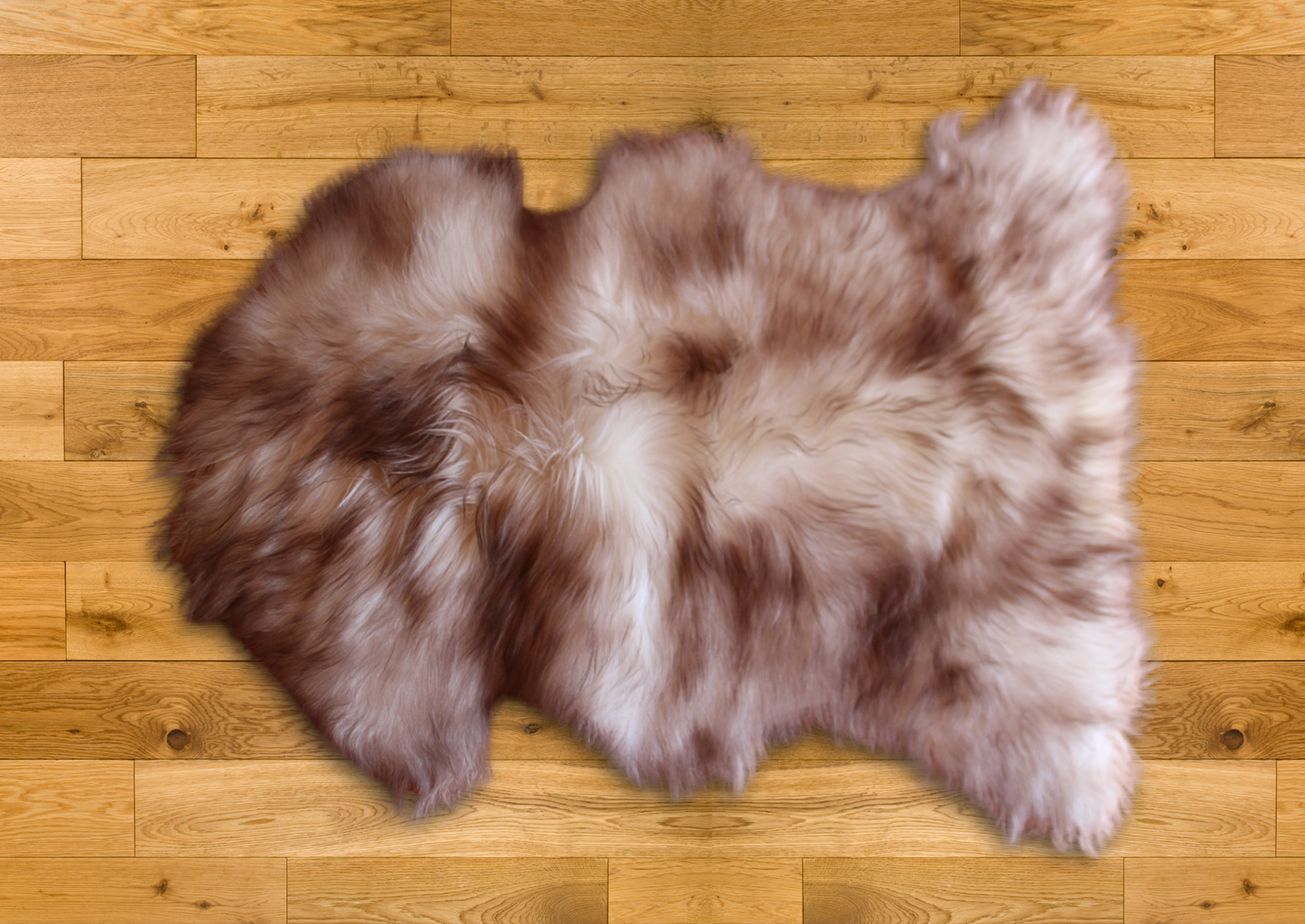Wolf Tip Himalayan Sheepskin
